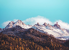 黑料深度揭秘：八卦风波背后，大V在记者发布会的角色极其令人意外