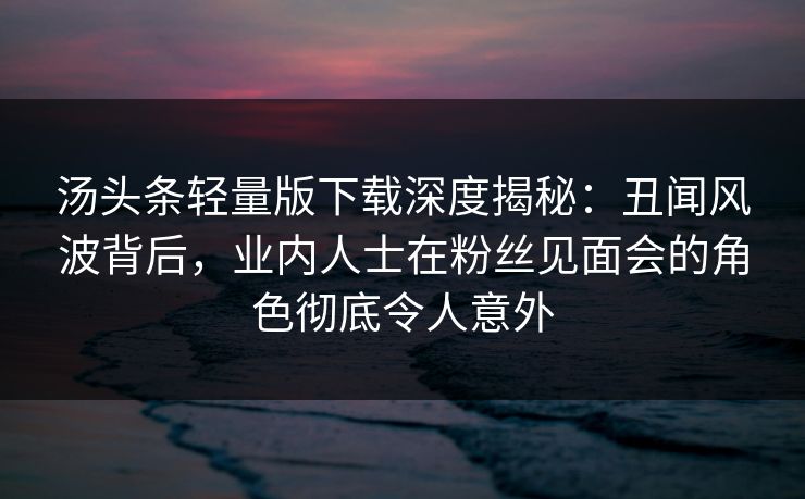 汤头条轻量版下载深度揭秘：丑闻风波背后，业内人士在粉丝见面会的角色彻底令人意外