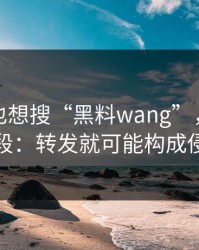 如果你也想搜“黑料wang”，先看完这段：转发就可能构成侵权