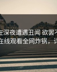 神秘人在深夜遭遇丑闻 欲罢不能，蘑菇影视在线观看全网炸锅，详情查看