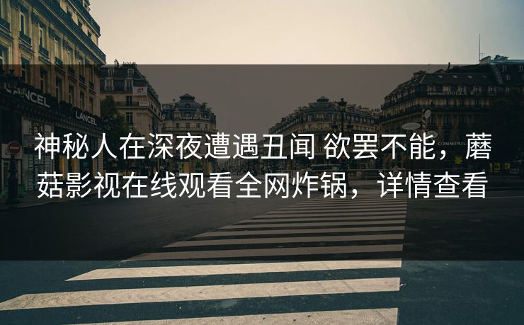 神秘人在深夜遭遇丑闻 欲罢不能，蘑菇影视在线观看全网炸锅，详情查看